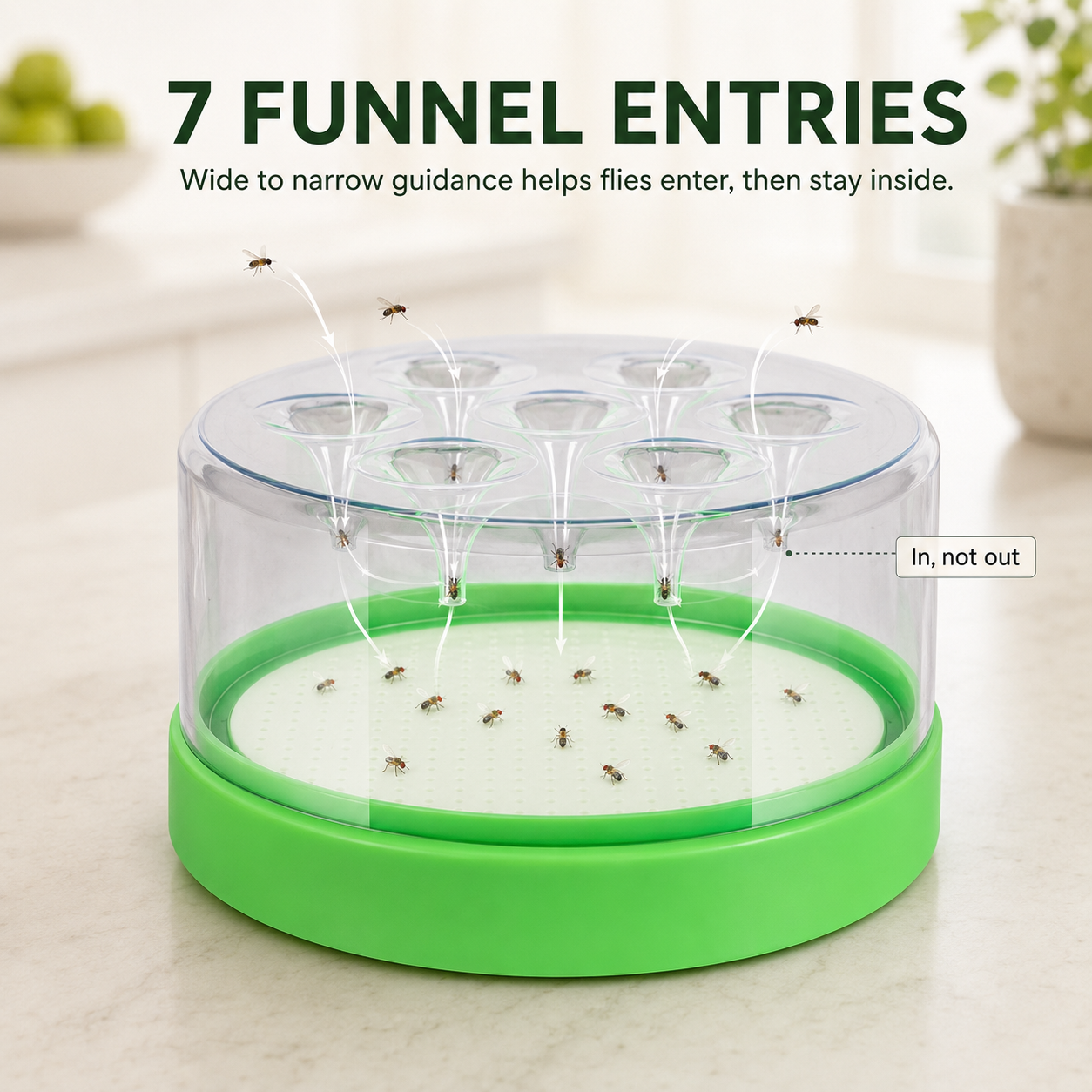 🌿 Reusable Fruit Fly Trap | No Power · No Spray ✅