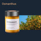 160g Car Solid Air Freshener