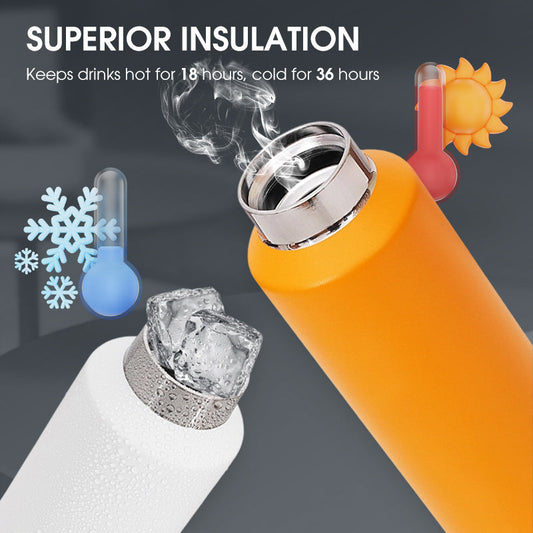 Insulated Water Bottle for Hot & Cold