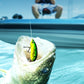 Lifelike Bionic Fishing Baits for High Catch Rate